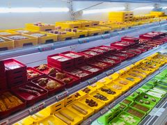 -蚝旺角生蚝烤肉自助餐厅(綦江红星广场店)