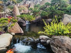 -罗红摄影艺术馆