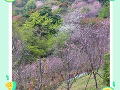 -小南山公园