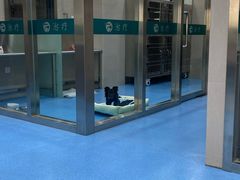 -万博宠物医院·手术·诊疗(未央凤城五路店)