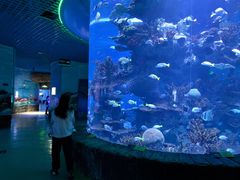 -多彩贵州城极地海洋世界