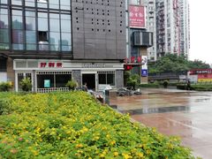 -蒲公英(五里店)