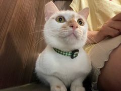 -Again Coffee Roaster(香蜜湖店)