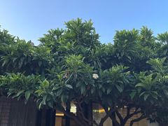 -山菌美食苑(振兴路店)
