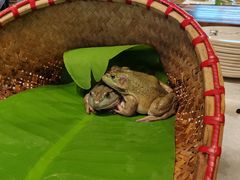 -蓝珊海鲜澳洲和牛自助餐厅
