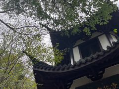 -上海佘山国家森林公园西佘山园