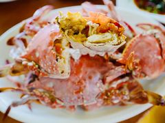 -胖大嫂渔家排档·全海景餐厅(渔村店)