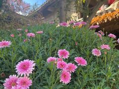 -天龙八部武侠城