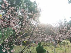 -求水山公园