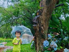 -人民公园(罗湖区)