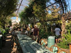 -The Grounds of Alexandria