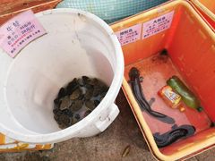 -荔城生鲜盛宴(番禺旗舰店)