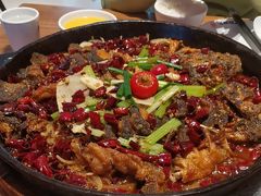 -老板恋上鱼(恒隆广场店)