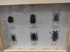 -中国杭州低碳科技馆