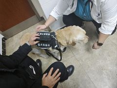 -美联众合动物医院·24h转诊中心