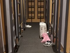 -谢列梅捷沃国际机场