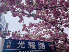 -高东镇樱花园