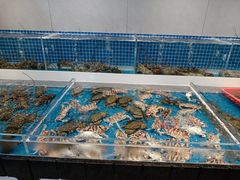 -桂园白粥·潮汕老味道