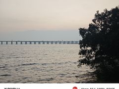 -宝安西湾红树林湿地公园