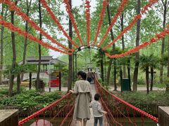 -合肥滨湖国家森林公园