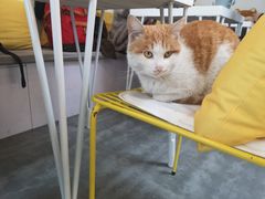 -五进制 Coffee Shop