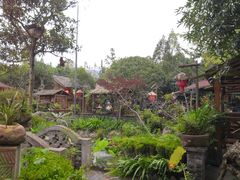 -青城甲(青城山店)