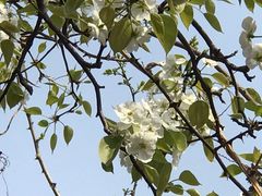 -南窖乡水峪村山情农家