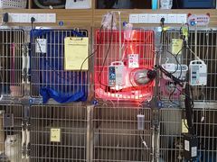 -御宝贝·A梦猫科宠物医院(国际猫友好医院)