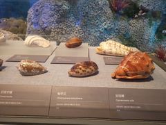 -中国（海南）南海博物馆