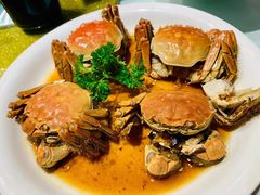 -老洋房花园饭店(绍兴路店)