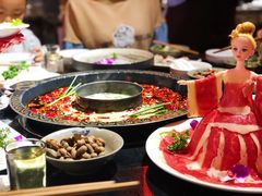 -矮板凳老火锅(宽窄巷子店)