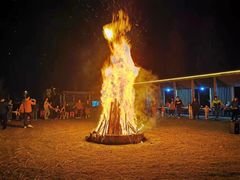 -前小桔亲子创意农场·草莓采摘·露营烧烤