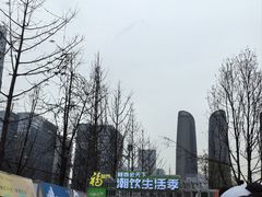 -合景·悠方(成都店)