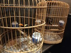 -到家尝北京菜(西坝河店)