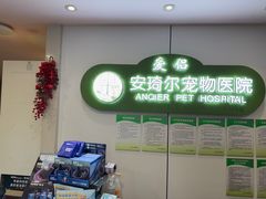 -爱侣·安琦尔宠物医院·中兽医针灸·心内科·狂犬免疫点(宝山区院)