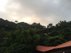 -鲤鱼塘农家山庄