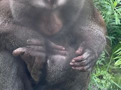 -黔灵山公园