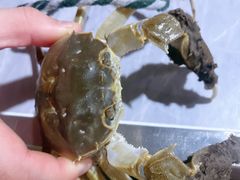 -一绪に寿喜烧自助(世茂广场店)