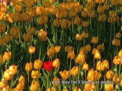 -长春公园(普阳街道)