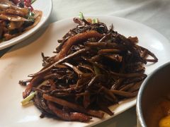 茶树菇爆爽肉-春暖花开(西溪店)