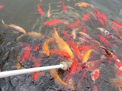 -无锡动物园·太湖欢乐园