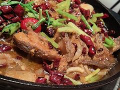 -老板恋上鱼(恒隆广场店)