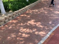 -大兴滨河森林公园