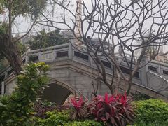 -荔湾湖公园