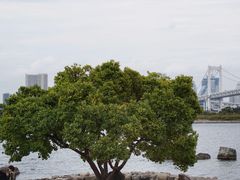 景点-台场海滨公园船码头