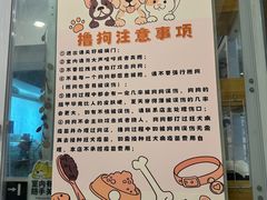 -有喵·猫咖·狗咖·30几只猫10只小狗(岗厦店)
