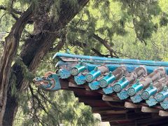 -窦大夫祠