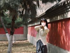-护国法轮寺