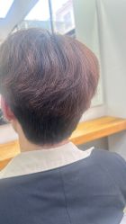 -蚂蚁造型沙龙