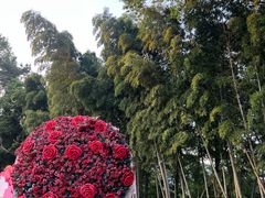 -乌石村